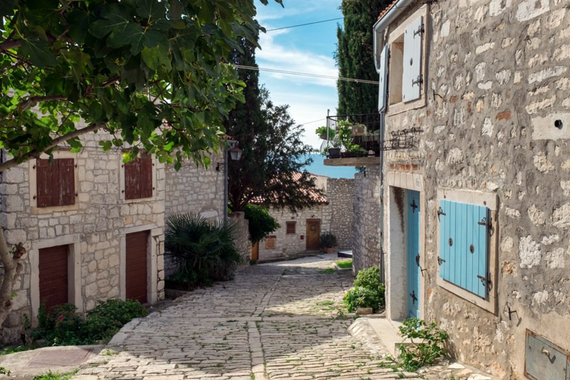 Udobnost prevoza do Bleda